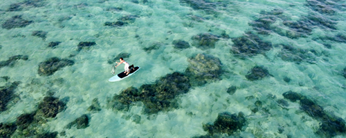 石垣島サップヨガ・サップ　Blueshell