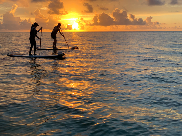 サップクルーズ&サップヨガフィットどちらも体験できる欲張り得プラン サップクルーズ&サップヨガフィットどちらも体験できる欲張り得プラン