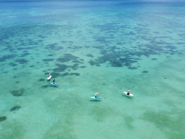 SUPで北部を冒険!!! SUPで北部を冒険!!!